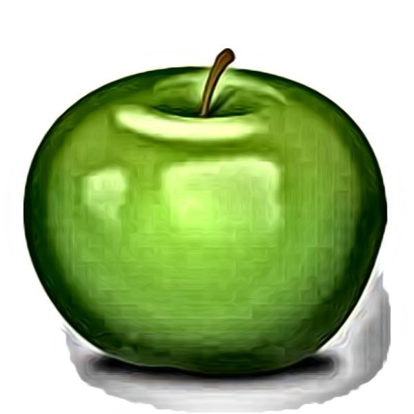 apple fruit